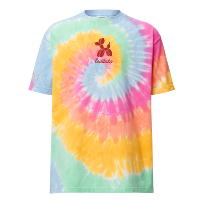levitate tie-dye t-shirt (embroidered)